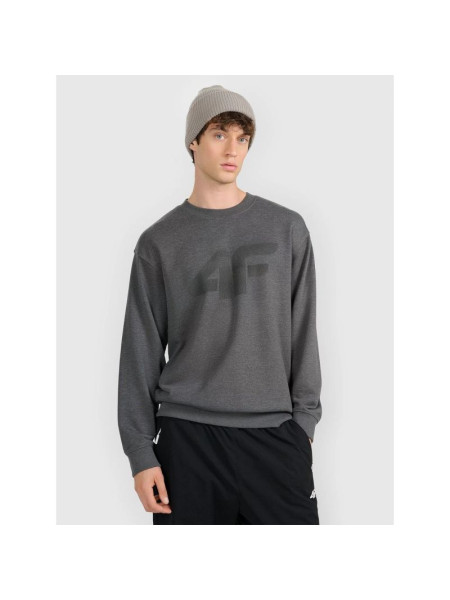 Men's sweatshirt without zipper, without hood, 4F 4FRMM00TSWSM2479-23M (311970)
