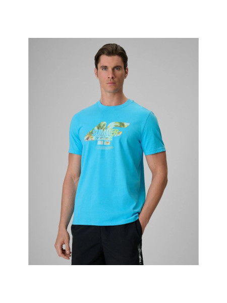 Men's regular printed T-shirt 4F 4FRSS26TTSHM4305-33S (326409)