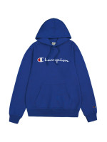 Champion Hooded Sweatshirt M 220726 BS008 (221210)