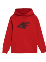 Sweatshirt 4F Jr. 4FJSS23TSWSM220 62S (119448)