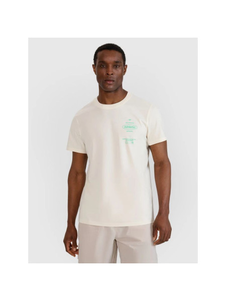 Men's regular printed T-shirt 4F 4FRSS25TTSHM2688-11S (239356)