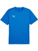 Men's Puma TeamGoal Jersey blue 658636 02 (246269)