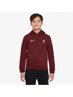 Nike Liverpool FC NSW Club PO Hoodie Jr FZ4149-619 (200664)