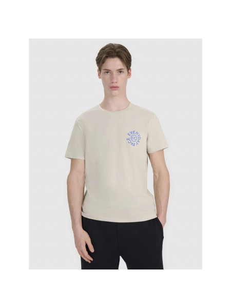 Men's regular printed T-shirt 4F 4FWSS25TTSHM1980-83S (240422)