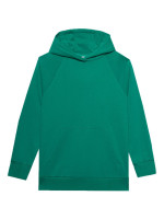 Sweatshirt 4F F0955 W 4FWSS24TSWSF0955 41S (189673)
