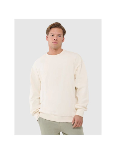Men's oversize sweatshirt without zipper, without hood 4F 4FWSS25TSWSM1536-80S-12S (240131)