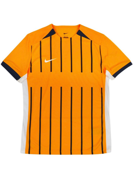 Nike Dri-FIT T-shirt M FD7752 739 (212975)