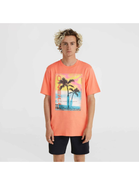 O'Neill Jack Neon T-Shirt M 92800613602 (197477)