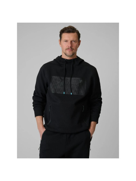 Men's regular hooded sweatshirt 4F 4FRSS26TSWSM2975-20S (318736)