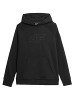 Sweatshirt 4F F0765 W 4FAW23TSWSF0765 20S (177182)