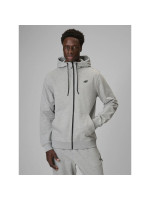 Men's regular hooded sweatshirt 4F 4FRMM00TSWSM3058-27M (311972)