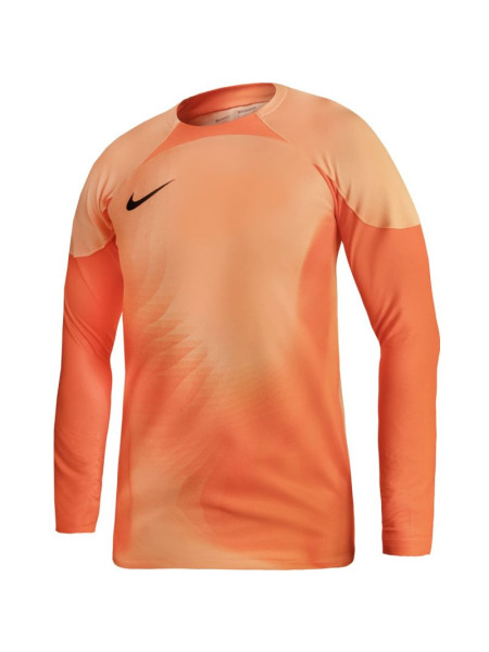 Nike Gardien IV Goalkeeper JSY M DH7967 819 goalkeeper jersey (93350)