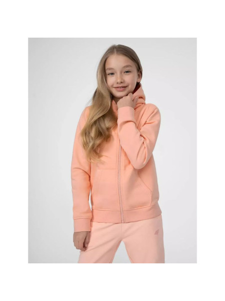 Sweatshirt 4F Jr. 4FJSS23TSWSF216-65S (119638)