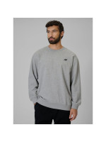 Men's regular sweatshirt without hood 4F 4FRMM00TSWSM3059-27M (355400)