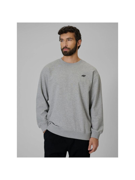 Men's regular sweatshirt without hood 4F 4FRMM00TSWSM3059-27M (355400)