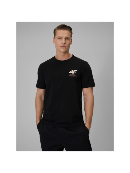 Men's regular plain T-shirt 4F 4FRSS26TTSHM3990-20S (322675)