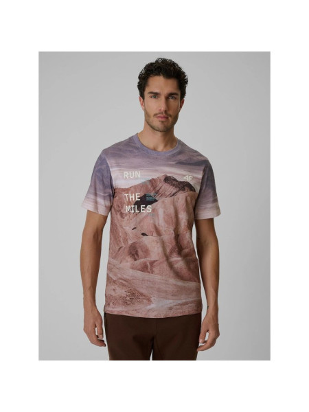 Men's regular printed T-shirt 4F 4FRSS26TTSHM4229-83A (366283)