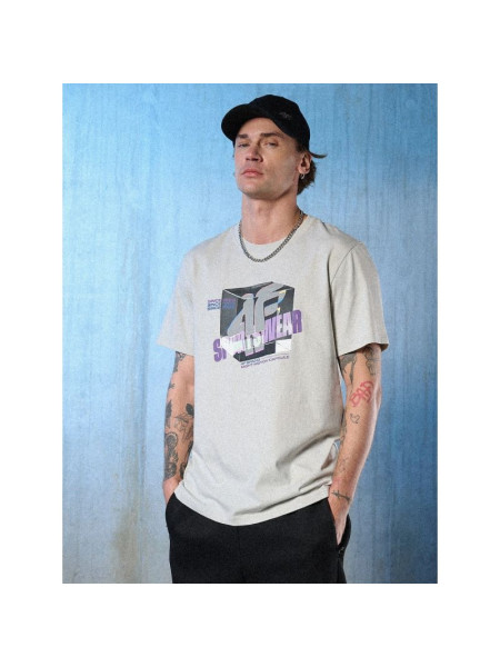 Men's regular printed T-shirt 4F 4FRSS26TTSHM3657-27S (331421)