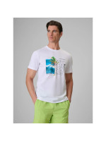 Men's regular printed T-shirt 4F 4FRSS26TTSHM4303-10S (326404)