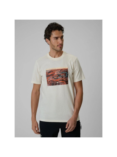 Men's regular printed T-shirt 4F 4FRSS26TTSHM4238-11S (366289)