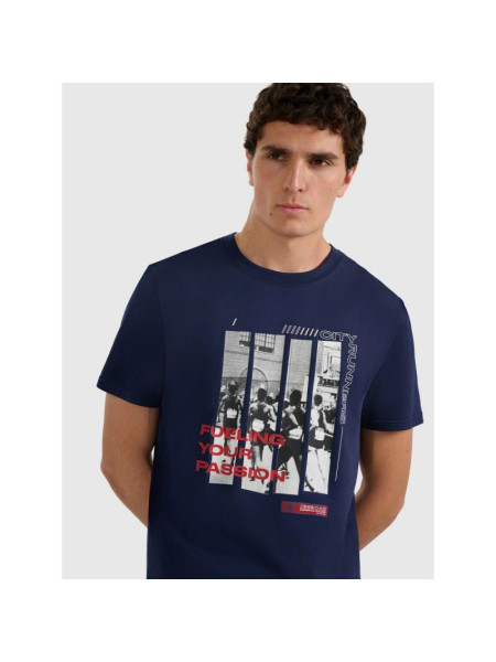 Men's regular printed T-shirt 4F 4FRAW25TTSHM3364-31S (247137)