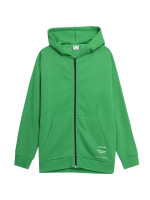 Sweatshirt 4F M 4FSS23TSWSM236 41S (123647)