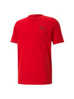 Puma Active Small Logo Tee M 586725 11 (204642)