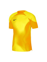 Nike Dri-FIT ADV Gardien 4 M DH7760-719 goalkeeper jersey (94047)