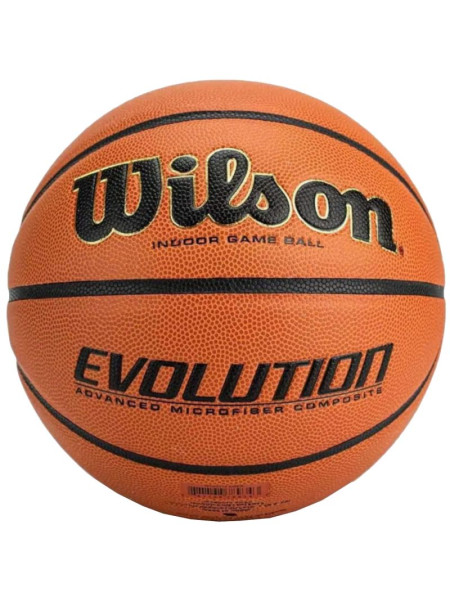Wilson Evolution Indoor Game Ball WTB0586XBEMEA (113078)