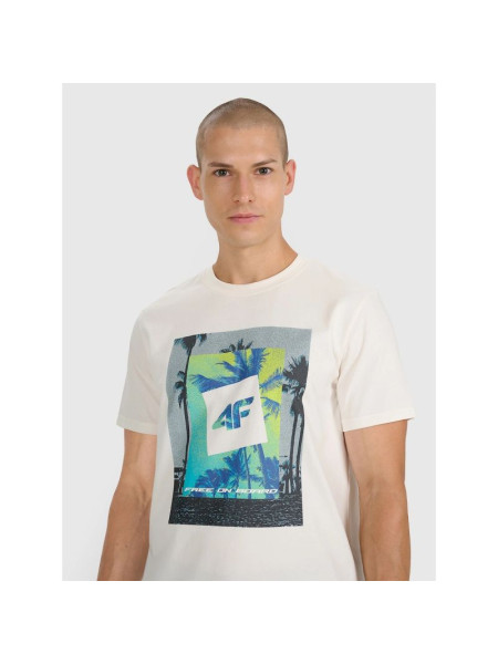 Men's regular printed T-shirt 4F 4FRSS25TTSHM2846-12S (305970)