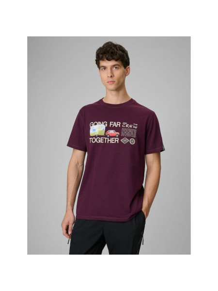 Men's regular printed T-shirt 4F 4FRSS26TTSHM3810-50S (322670)