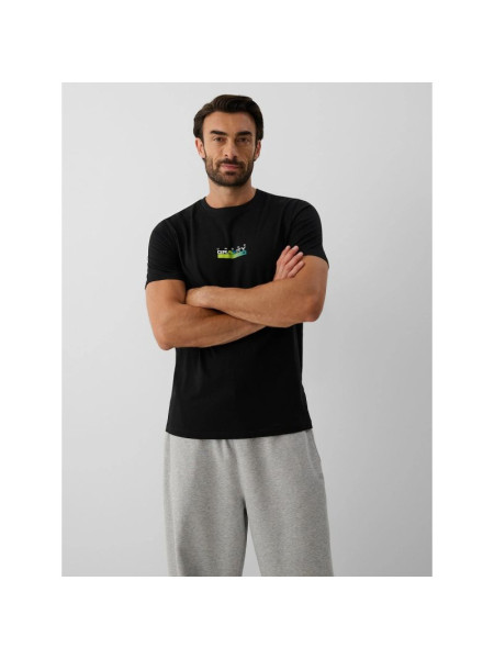 Men's regular printed T-shirt 4F 4FRAW26TTSHM4665-20S (358706)