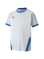Puma teamGOAL 23 Jersey Jr T-shirt 704160 12 (181358)