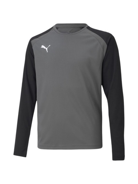 Puma teamPacer GK LS Jersey Jr 704939 43 goalkeeper sweatshirt (199203)