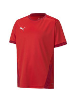 Puma teamGOAL 23 Jersey Jr T-shirt 704160 01 (181351)
