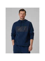 Men's regular hooded sweatshirt 4F 4FRSS26TSWSM2975-20S (318738)
