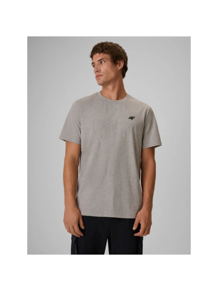 Men's regular plain T-shirt 4F 4FRMM00TTSHM4192-27M (355674)