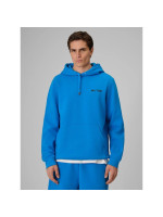 Men's regular hooded sweatshirt 4F | Robert Lewandowski RL9KSS26TSWSM2954-33S (366292)