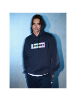 Men's regular hooded sweatshirt 4F 4FRSS26TSWSM2801-31S (332475)