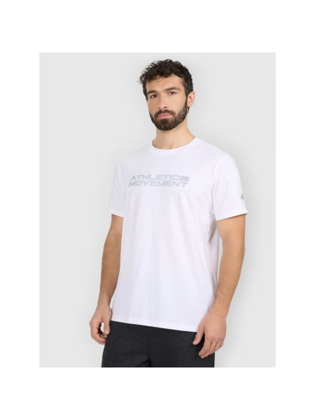 Men's regular printed T-shirt 4F 4FRAW25TTSHM3384-10S (305987)