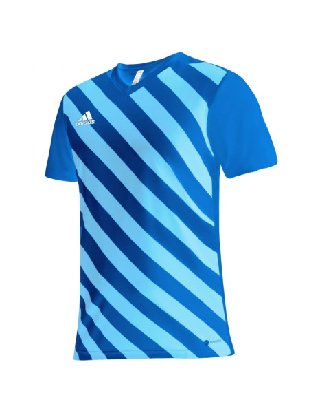 T-shirt adidas Entrada 22 Graphic Jersey Jr HF0130 (99737)