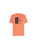 O'Neill Mix & Match Palm T-Shirt M 92800613905 (197483)