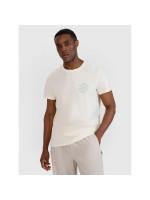 Men's regular printed T-shirt 4F 4FWSS25TTSHM1980-11S (240419)