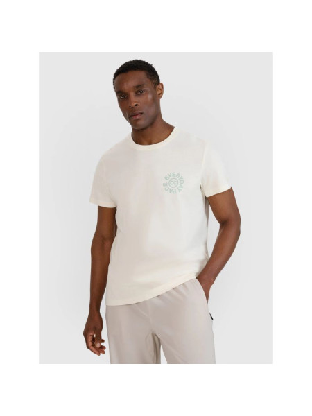 Men's regular printed T-shirt 4F 4FWSS25TTSHM1980-11S (240419)