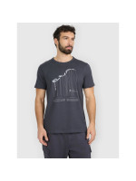 Men's regular printed T-shirt 4F 4FRAW25TTSHM3845-22S (289636)