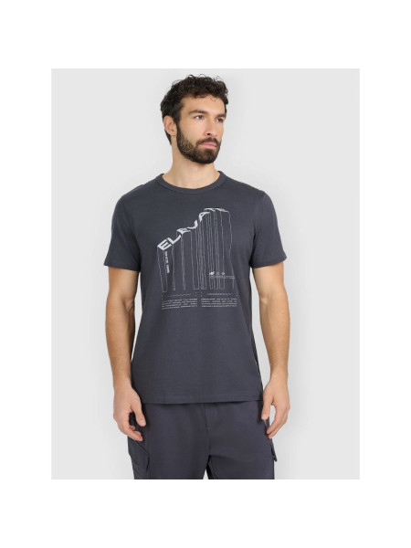 Men's regular printed T-shirt 4F 4FRAW25TTSHM3845-22S (289636)