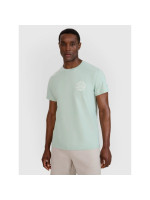Men's regular printed T-shirt 4F 4FWSS25TTSHM1980-47S (240421)