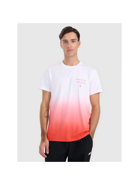 Men's regular printed T-shirt 4F 4FRAW25TTSHM3226-62S (268695)