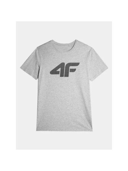 T-shirt 4F M 4FAW23TTSHM0877-27M (178344)