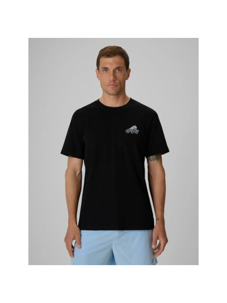 Men's regular printed T-shirt 4F 4FRSS26TTSHM4299-20S (337740)